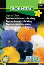 Bild Styvmorsviol Mix 'Crystal Clear' frö