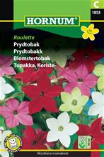 Bild Blomstertobak Roulette mix, frö