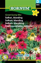 Bild Solhatt Mix 'Great Sunny' frö