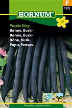 Bild Buskböna 'Purple King' frö