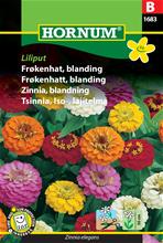 Bild Zinnia Mix 'Liliput' frö