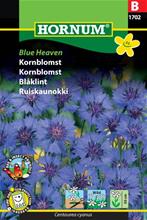 Bild Blåklint 'Blue Heaven' frö