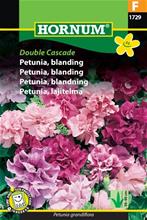 Bild Petunia Double Cascade mix, frö