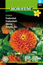 Bild Zinnia 'Ember' frö