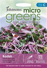 Bild Microgreens Rädisa 'Radish for leaves'