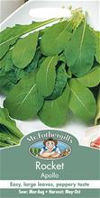 Bild Ruccola 'Apollo'