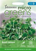 Bild Microgreens 'Citronbasilika'