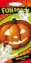 Bild Funseeds: Pumpa 'Halloween heads'