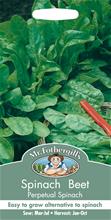 Bild Mangold 'Perpetual Spinach'