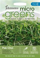 Bild Microgreens 'Pak Choi'