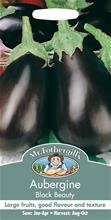 Bild AUBERGINE Black Beauty