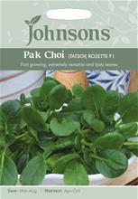 Bild Pak Choi (Tatsoi) 'Rozett'