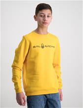 Bild Sail Racing, JR BOWMAN SWEATER, Gul, Tröjor/Sweatshirts till Kille, 176 cm