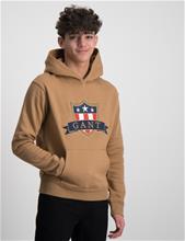 Bild Gant, GANT BANNER SHIELD HOODIE, Brun, Huvtröjor/Hoodies till Kille, 170 cm