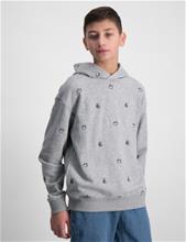 Bild Tommy Hilfiger, U MINI EMBROIDERY HOODIE, Grå, Tröjor/Sweatshirts till Kille, 14 år