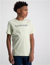 Bild Calvin Klein, INSTITUTIONAL T-SHIRT, Grön, T-shirts till Kille, 12 år