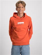 Bild Calvin Klein, SMALL BLOCK LOGO HOODIE, Orange, Huvtröjor/Hoodies till Kille, 14 år