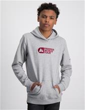 Bild Peak Performance, FWT JR Original Hood, Grå, Huvtröjor/Hoodies till Kille, 160 cm