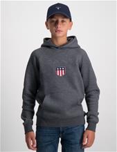 Bild Gant, GANT SHIELD HOODIE, Grå, Huvtröjor/Hoodies till Kille, 122-128 cm