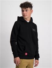 Bild Alpha Industries, Back Print Hoody, Svart, Huvtröjor/Hoodies till Kille, 16 år