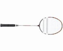 Bild Babolat Satellite Star