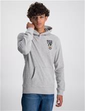 Bild Scotch & Soda, Towelling hoodie, Grå, Huvtröjor/Hoodies till Kille, 152 cm