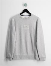 Bild Woolrich, LOGO CREWNECK SWEATSHIRT, Grå, Tröjor/Sweatshirts till Kille, 10 år