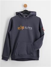 Bild Alpha Industries, Alpha Label Hoody, Grå, Huvtröjor/Hoodies till Unisex, 16 år