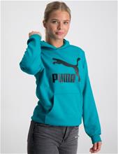 Bild Puma, CLASSICS LOGO HOODIE TR B, Blå, Huvtröjor/Hoodies till Tjej, 164 cm