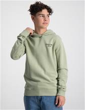 Bild Calvin Klein, CKJ STACK LOGO HOODIE, Grön, Huvtröjor/Hoodies till Kille, 16 år