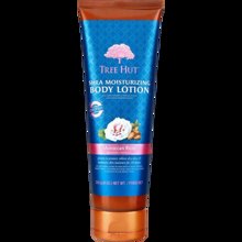 Bild Tree Hut - Shea Moisturizing Body Lotion Moroccan Rose 255g