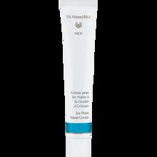 Bild Dr. Hauschka - Med Ice Plant Hand Cream 50ml